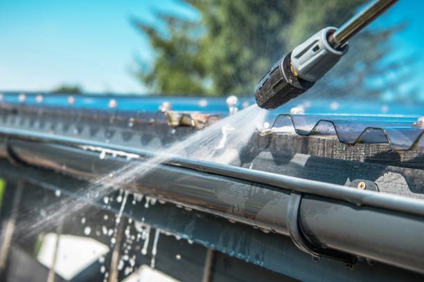 Best Local Pressure Washing Services  in Brownlee Park, MI