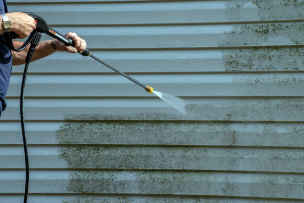 Best Residential Pressure Washing Services  in Brownlee Park, MI