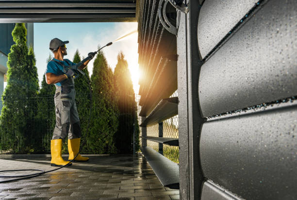 Best Deck Cleaning Services  in Brownlee Park, MI