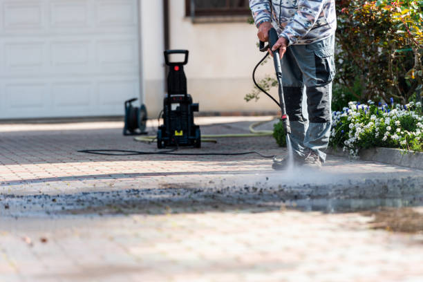 Best Pressure Washing Brick  in Brownlee Park, MI