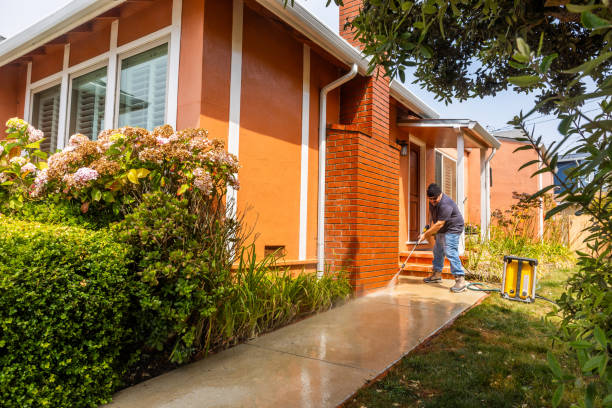 Best Deck Pressure Washing  in Brownlee Park, MI