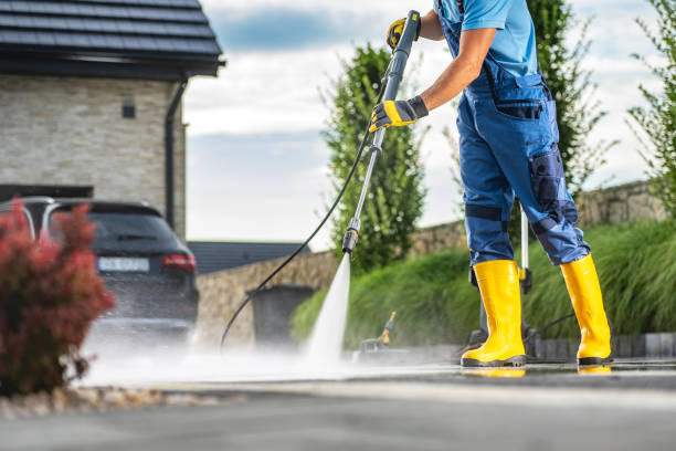 Best Exterior Home Cleaning  in Brownlee Park, MI