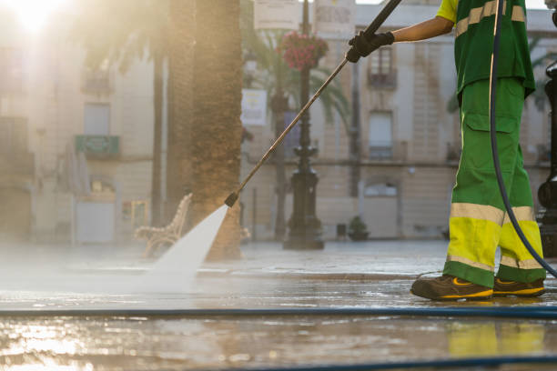 Best Affordable Pressure Washing  in Brownlee Park, MI
